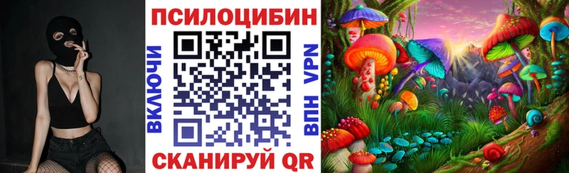 Купить закладки  Химки  Галлюциногенные грибы Cubensis